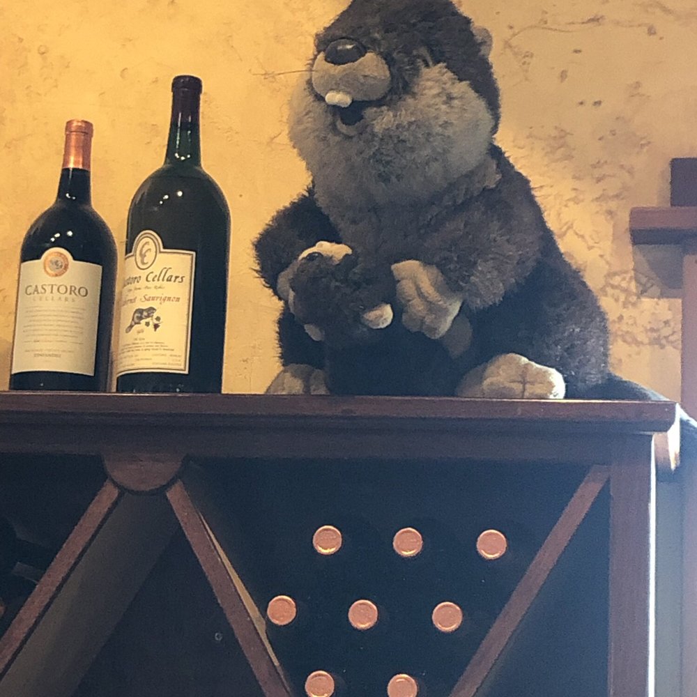 Castoro Cellars - Not sure what's happening here haha - Wineries Near Me - Templeton, California Castoro Cellars - Not sure what's happening here haha - Wineries Near Me - Templeton, California
