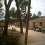 Photo of framissima Nature