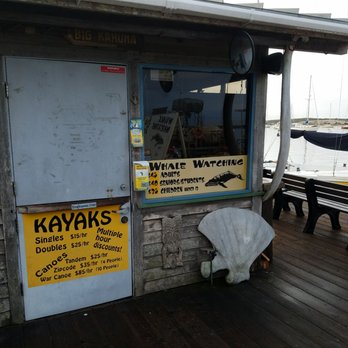 Sub Sea Tours - This office is staffed with friendly faces who understand hospitality and appreciate your business! - Rafting/Kayaking Near Me - Morro Bay, California Sub Sea Tours - This office is staffed with friendly faces who understand hospitality and appreciate your business! - Rafting/Kayaking Near Me - Morro Bay, California