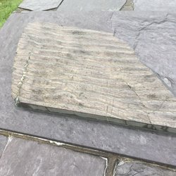 Tetrapod Trackway - Save it