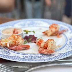 Classique - Cocktail shrimp