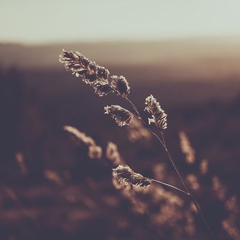 Be Well by Alana Kessler - Nutritionists Near Me - New York, New York Be Well by Alana Kessler - Nutritionists Near Me - New York, New York