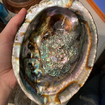 Stone Harmony - Rainbow oyster shell for burning sage or incense - Spiritual Shop Near Me - Gallatin, Tennessee