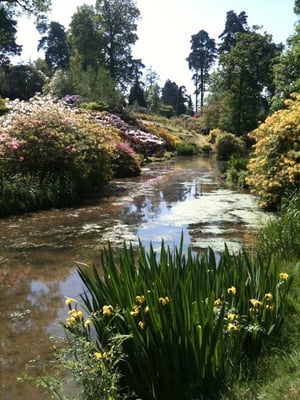Leonardslee Lakes & Gardens by null