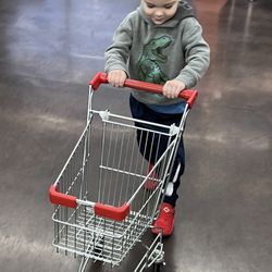 Good Earth Markets - Mini carts!