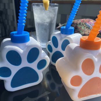 Barkhaven - Dog Parks Near Me - Orlando, Florida