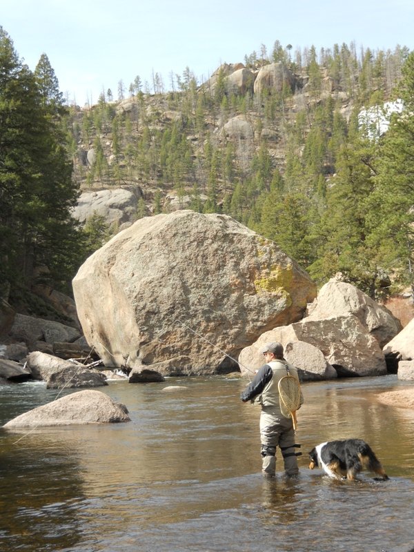 The Law Office of Alexander M. Musz, PC - divorce attorney in Lakewood, CO