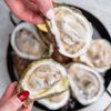 Fish Company Taco gift card