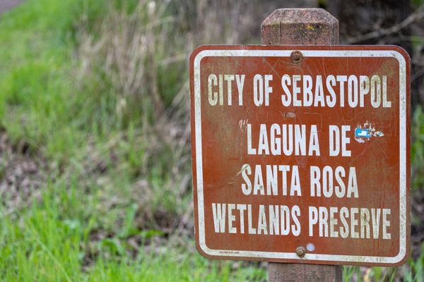 Laguna de Santa Rosa Trail by null