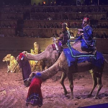 Dolly Parton's Stampede - Live nativity... camels!!! - Performing Arts Near Me - Pigeon Forge, Tennessee