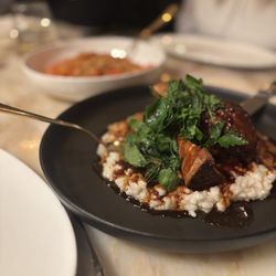 Lamb Shank over risotto.