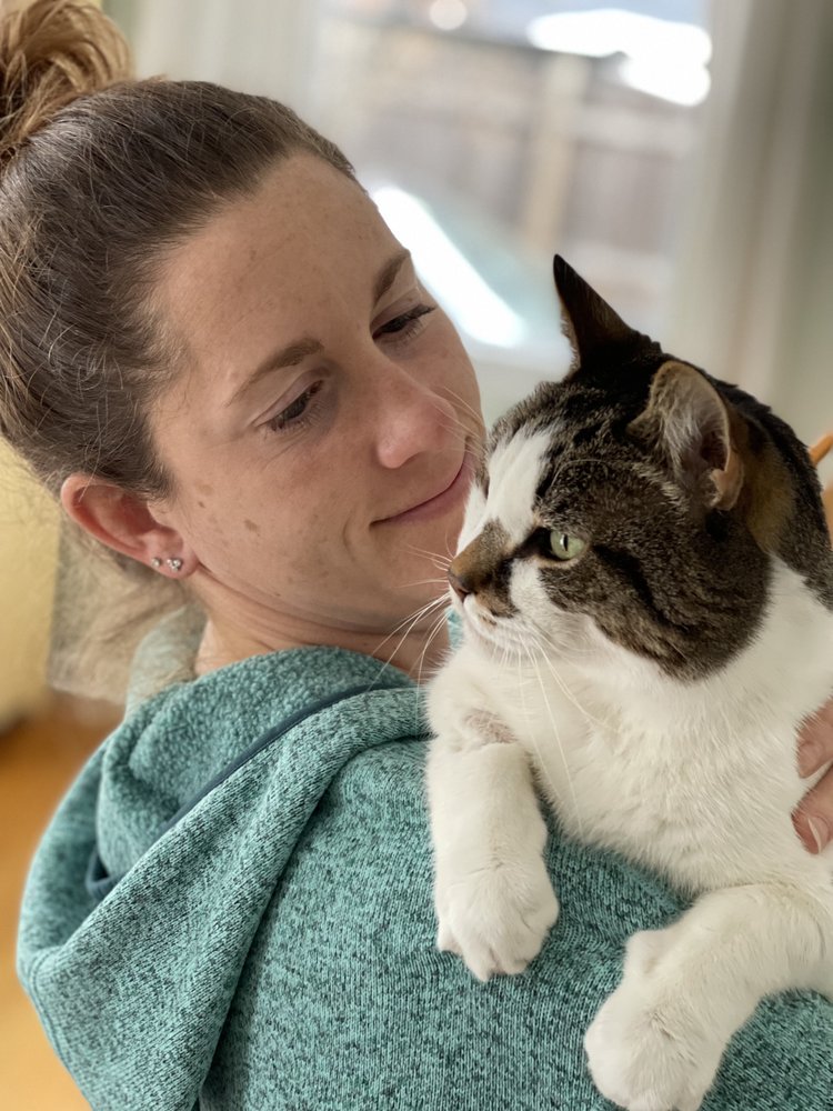 North End Pet Services - pet boarding facility in Burlington, VT
