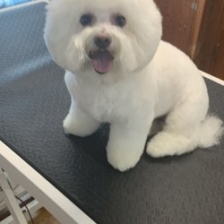 The Kinder Cut - Millie Rose!
