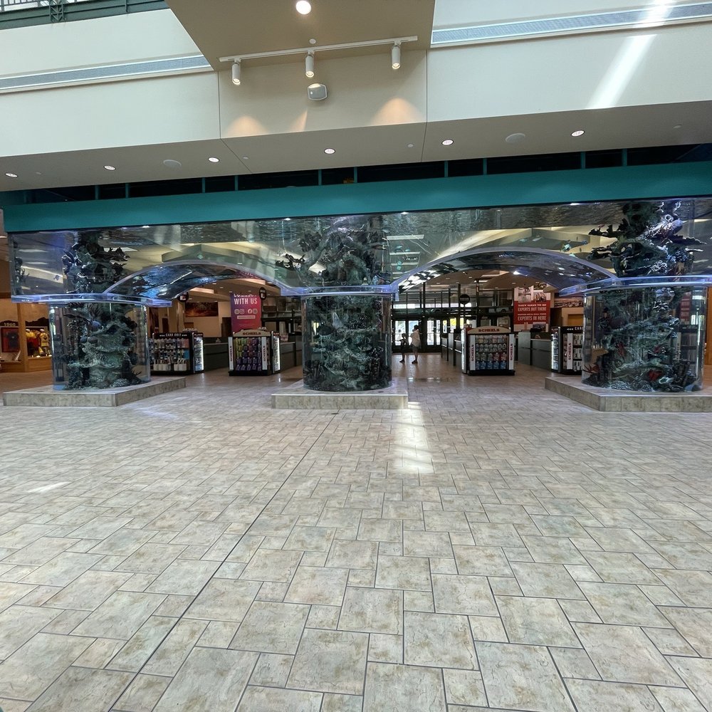 Scheels - Fish tanks - Sports Wear Near Me - Sparks, Nevada