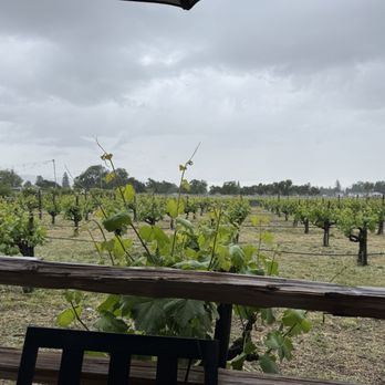 V Sattui Winery - Vineyard - Wineries Near Me - Saint Helena, California