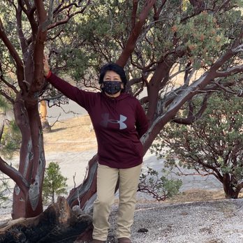 Thousand Trails - Beautiful bushes - Campgrounds Near Me - Idyllwild, California