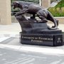 Photo of Pete the Panther