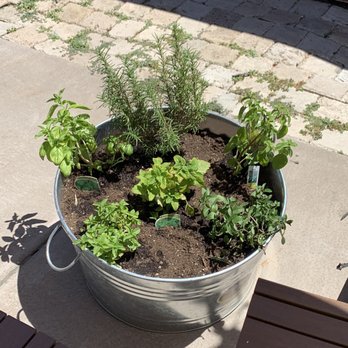 Tracy's Nursery and Gardens - Nurseries & Gardening Near Me - Tracy, California
