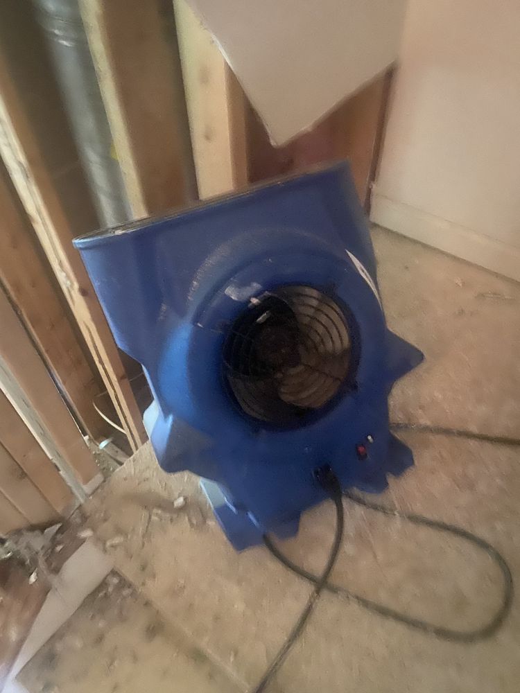 Mold Guy - mold inspector in Forest Heights, MD