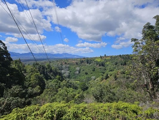 Waimano Falls by null