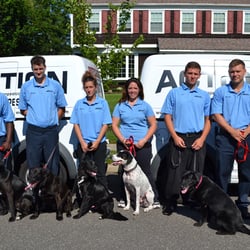 Action Termite and Pest Control - Action's Bed Bug Dog Inspection Teams, serving NJ, NY, PA, and Delaware!