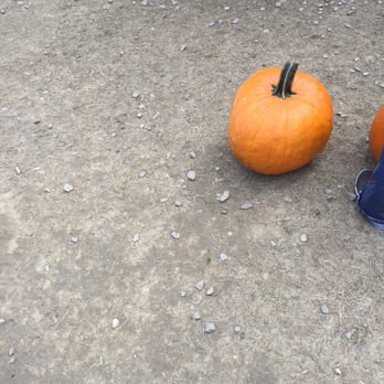 Barton Orchards - Pumpkin - Farmers Market Near Me - Poughquag, New York