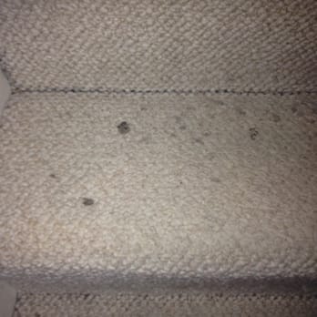 StainBusters Co - Before: unknown black stains - Carpet Cleaning Near Me - Herndon, Virginia StainBusters Co - Before: unknown black stains - Carpet Cleaning Near Me - Herndon, Virginia