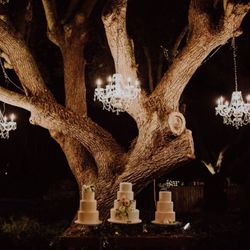 LOVE of Sweets - Wedding Cakes