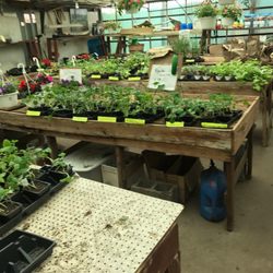 Schepke's Tree & Flower Center
