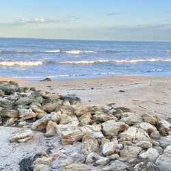 River To Sea Preserve - (*‿*) /゚*:。゚ It's way too pretty to stay inside with the FL sunshine at 65. #RiverToSeaPreserve #PalmCoast
