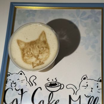 Cat Café MOFF - Themed Cafes Near Me - Honolulu, Hawaii Cat Café MOFF - Themed Cafes Near Me - Honolulu, Hawaii