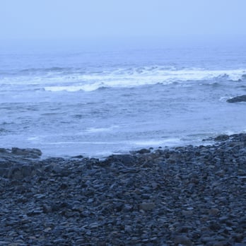Marginal Way Preservation Fund - Some wild storms at times - Community Service/Non-Profit Near Me - Ogunquit, Maine