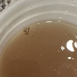 Check ya pho, that's not star anise, that's a dead spider. Check ya pho, that's not star anise, that's a dead spider.