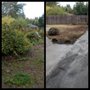 Photo of Bizy Boys Lawn and Yard Care