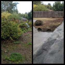 Bizy Boys Lawn and Yard Care