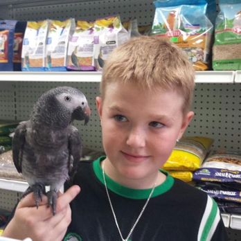 Exotic Pets - Photo - Pet Stores Near Me - Scarborough, Ontario Exotic Pets - Photo - Pet Stores Near Me - Scarborough, Ontario