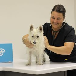 Naples Coastal Animal Hospital