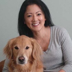 South Bay Veterinary Care - the dog in the picture doesn't even look happy!