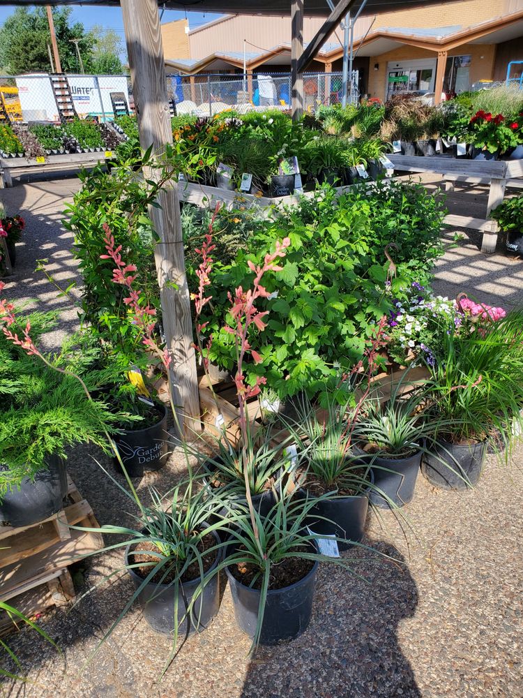 WATERS HARDWARE Updated October 2024 34 Photos 1649 W K96 Hwy