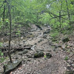 Henning State Conservation Area