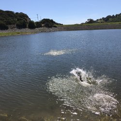 Chesbro Reservoir County Park