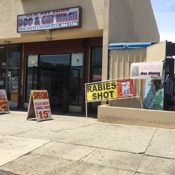 Vip Pet Shop - STAY AWAY FROM THIS PLACE! They should be shut down - Pet Stores Near Me - Los Angeles, California