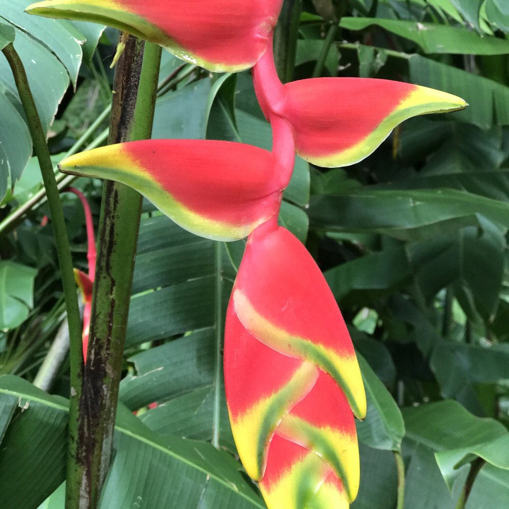 Massimo Hawaii Tours - Tours Near Me - Honolulu, Hawaii