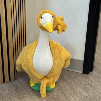 Shine Pediatric Dental - Office goose - Pediatric Dentists Near Me - Round Rock, Texas