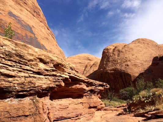 Moab Desert Adventures by null