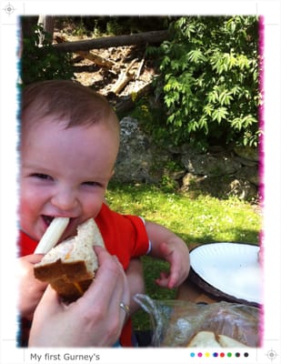 Gurney's Harbor Bottle Shop by null