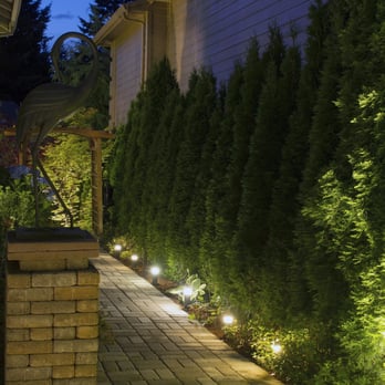 Water Dynamik - a walkway with lights in the night - Landscaping Near Me - Toronto, Ontario Water Dynamik - a walkway with lights in the night - Landscaping Near Me - Toronto, Ontario