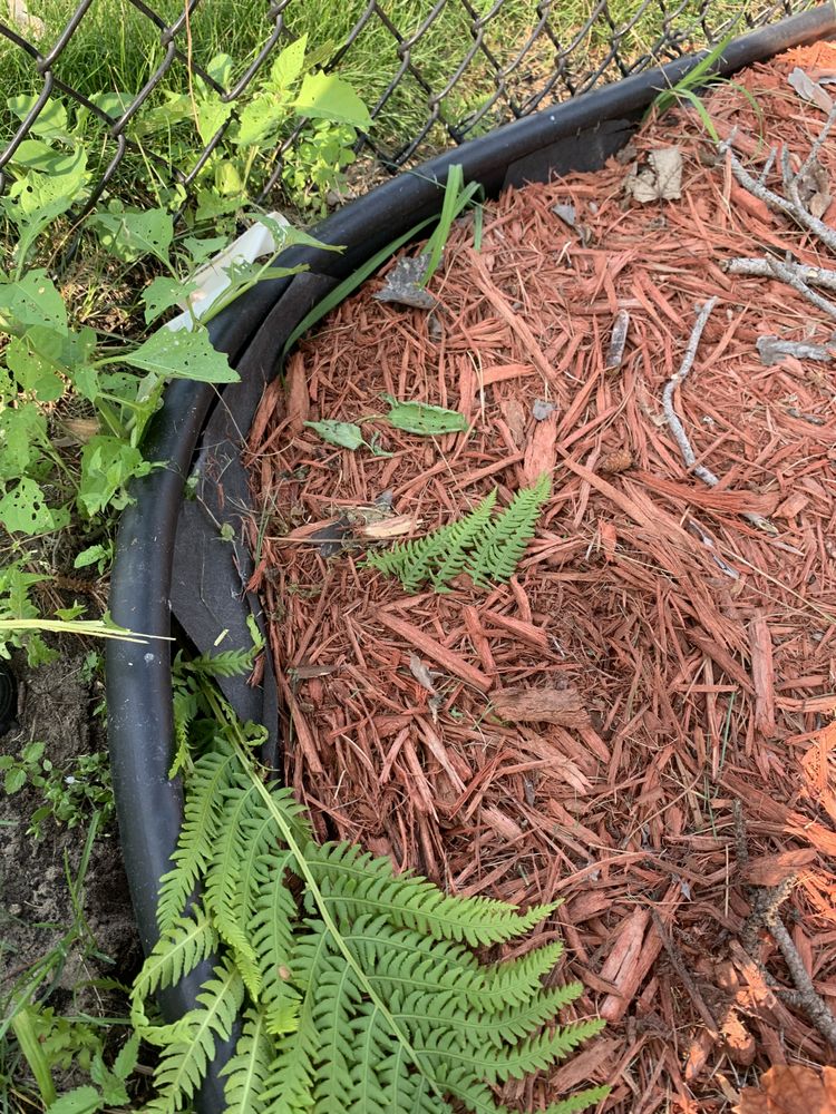 Buck Landscaping - tree service in Ham Lake, MN