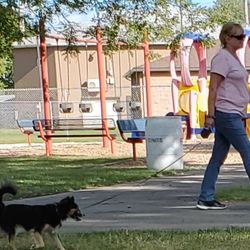 DuBois City Memorial Park - Pick up your dog crap honey