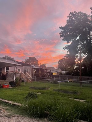 The Pearl of Germantown by null
